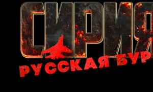 Cats Who Play — издатель, разработчик, издатель в России Сирия: Русская буря!